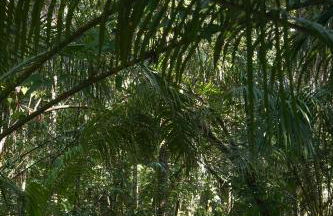 Espaço Tempo Vivências e Estadias - Photo 40
