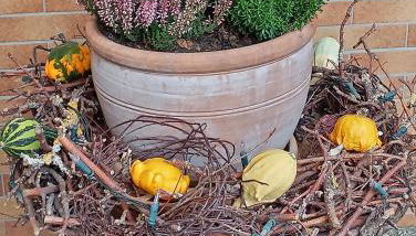 Ferienhof Lailach - Foto 2