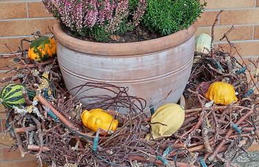 Ferienhof Lailach - Foto 2