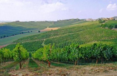 Agriturismo Fattoio alle Ripe - Photo 56