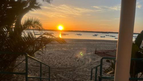 Mi Paraiso - Photo 2