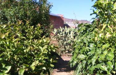 Casa de los abuelos - Foto 53