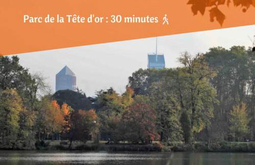 Lyon Premium - Happy 70's - Foto 16