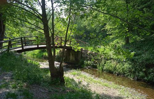 Appartamento seminterrato Villa Sveva Franciacorta - Foto 60