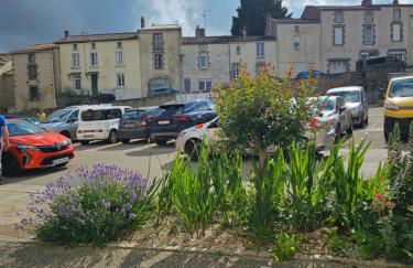 Le QG des Epesses à 5 min du Puy duFou - Foto 33