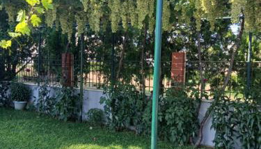 Artemis Villa - Foto 2