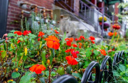 Stylish Apt - 2 Queen Bed - Easy Hospital Access - Foto 36