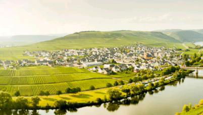 Ferienwohnung Bergblick - Foto 2