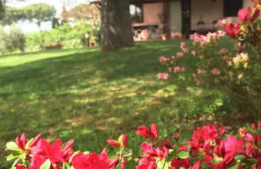 Ai due Cedri - Foto 13