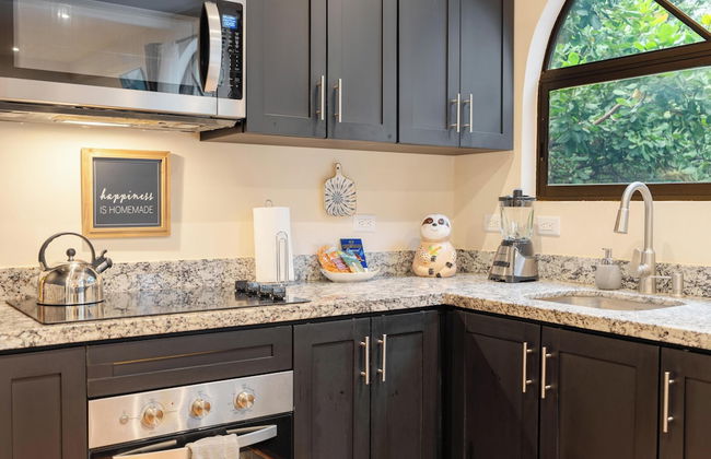 Suite 3 - Jaguar Beach & Pool 2 BR Condo - Foto 14