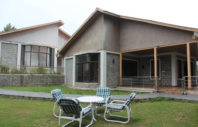 Blue Pine Retreat - Photo 15