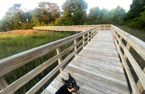 The Surf+Sleep - Foto 8