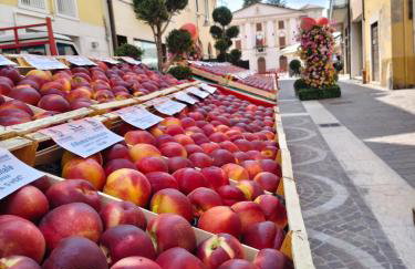 Residenza Agnello D'Oro - Foto 64