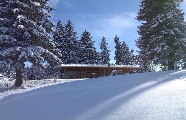 Kirsch Comfortable Holiday Residence - Photo 26