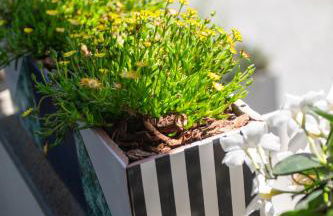 1912 Relais - Sorrento Coast - Foto 67