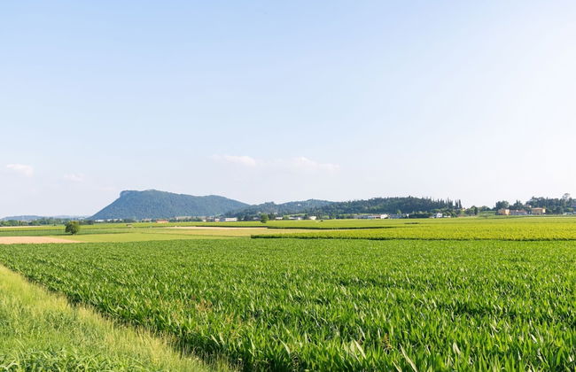 Belvilla by OYO Lira - Foto 32