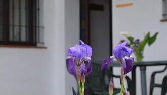 Casa Rural La Serrana de Aracena - Foto 2