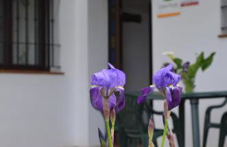 Casa Rural La Serrana de Aracena - Foto 2