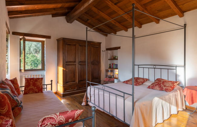 I Ciasi (VSP200) - Foto 4