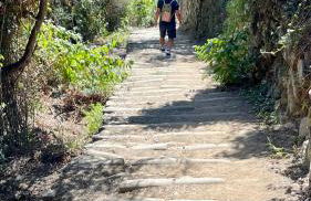 plumbago blue - Foto 21
