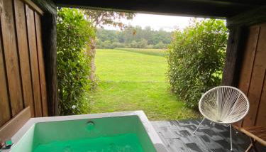 A Carballeira do Tambre - Foto 4