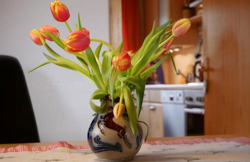 Haus Jurisch - Foto 13