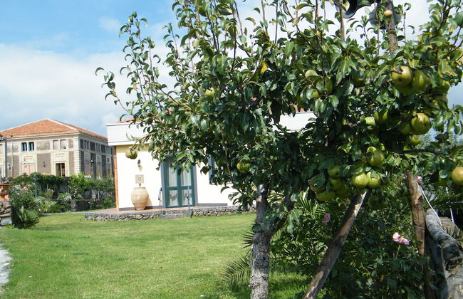 Etna Wine Agriturismo - Foto 45