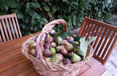 O Ze Ja Dormiu Aqui - Foto 49