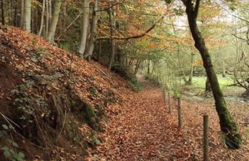 Charming Spacious Apartment, Kidderminster - Foto 27