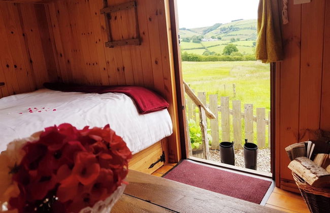 Eco Accommodation Cornflower Holiday - Foto 2