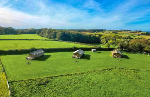 Cuckoo - Safari Tent - Ukc8981 - Foto 2