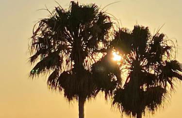 Apartamento reformado con vistas al mar - Photo 3