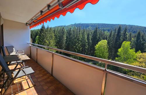 Ferienwohnung Vogelnest im Schwarzwald - Foto 16