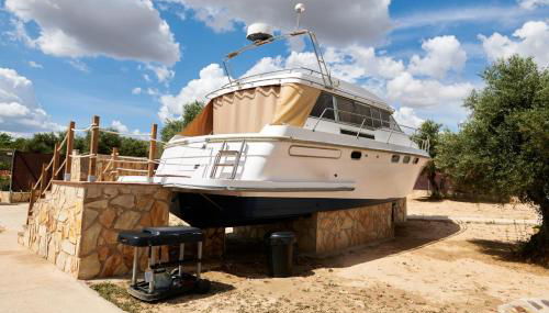 cuchi-barco - Photo 4