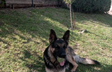 Pozza Appartamenti - Foto 12