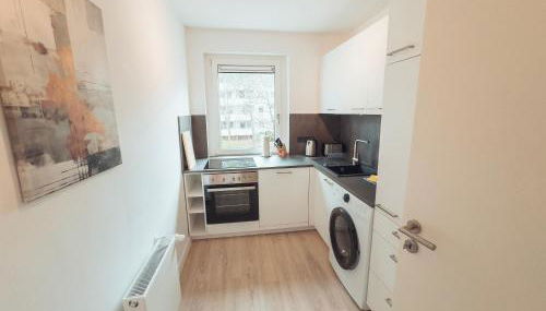 RR - Gorgeous 50qm Apartment - Washer - WIFI - Foto 5, stove, dishwasher, pet friendly, toaster