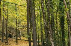 Somport bienvenidos a Canfranc Family - Foto 17