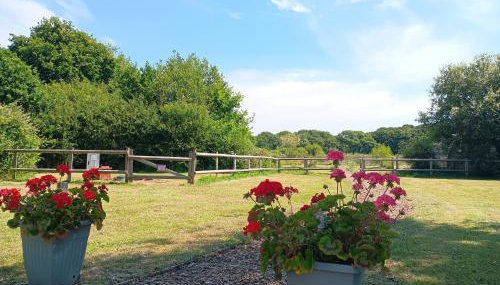 Cosy Cabins at Westfield Farm, Isle of Wight - Foto 4