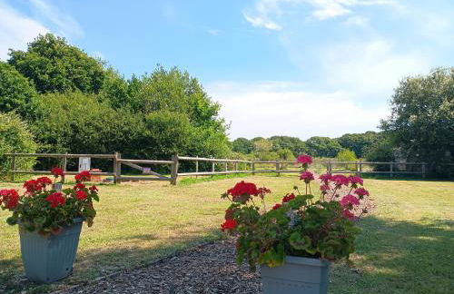 Cosy Cabins at Westfield Farm, Isle of Wight - Photo 4