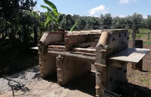 Verde & Mare - Photo 49