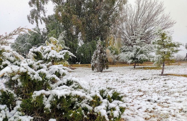 Viento Andino - Foto 22