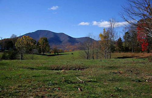 Luxury Mountain Cabin Rental on Rockfish Gap River near Charlottesville, Virginia - Foto 23
