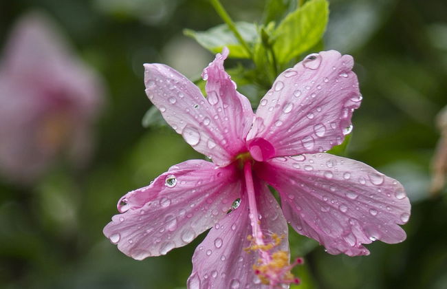 Broome Beach Resort - Photo 41