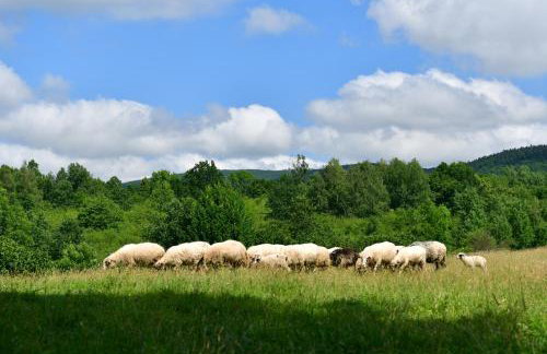 Natura hause - Foto 40