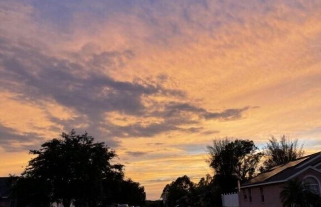 156 Pine Cone - Photo 8