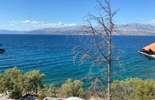 Apartmenthaus Punta **** - Photo 14