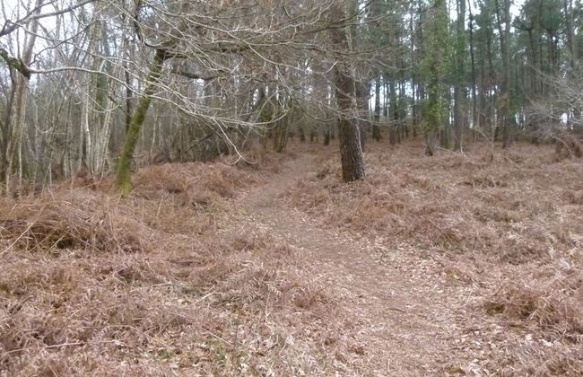 Les Calicots Sanguinet - Foto 40