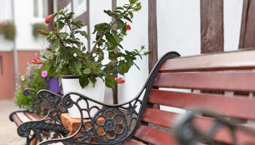 Zur Krone - Ferienhaus 1 - Foto 5