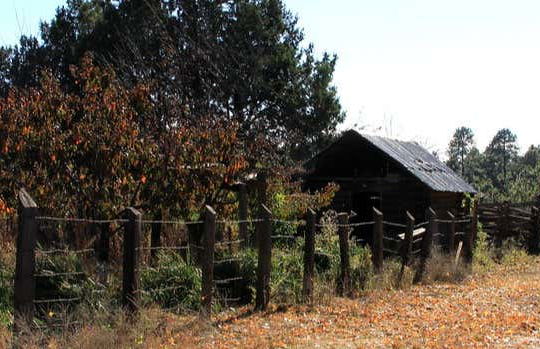 Escursione di 2 giorni al bosco di Yécora - Foto 8