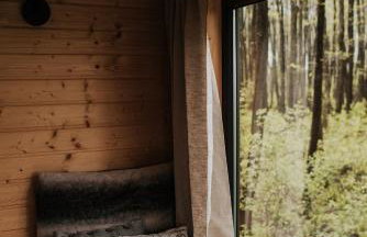 Dziki Las - domki na drzewach - Foto 40